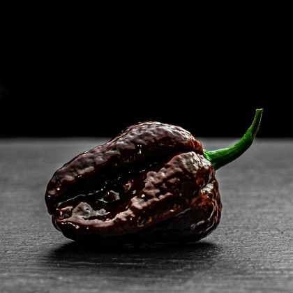 7 Пот Коричневий (7 Pot Brown)